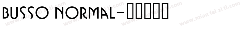 Busso Normal字体转换